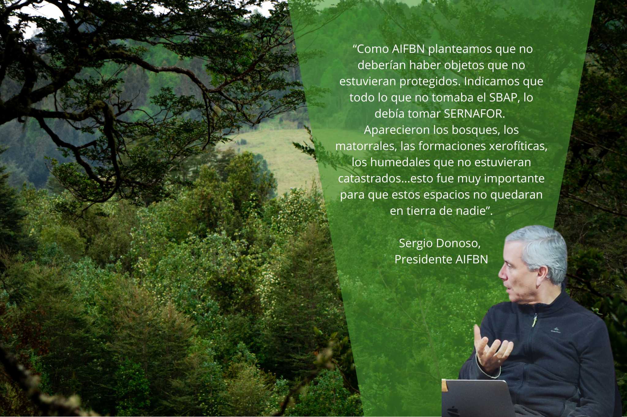 La incidencia de la AIFBN en la creación del SERNAFOR