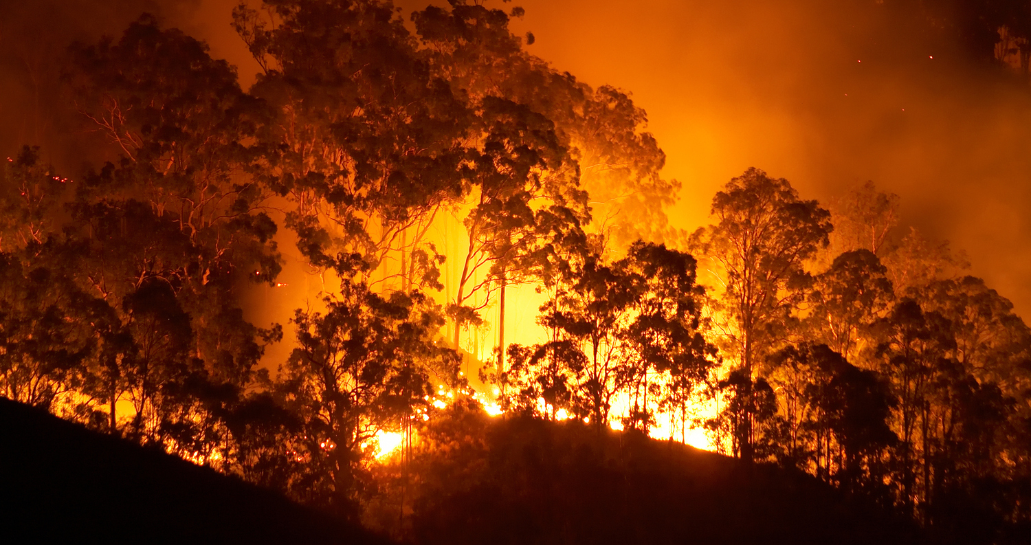 Declaración Pública: 10 años consecutivos fallando ante los incendios forestales