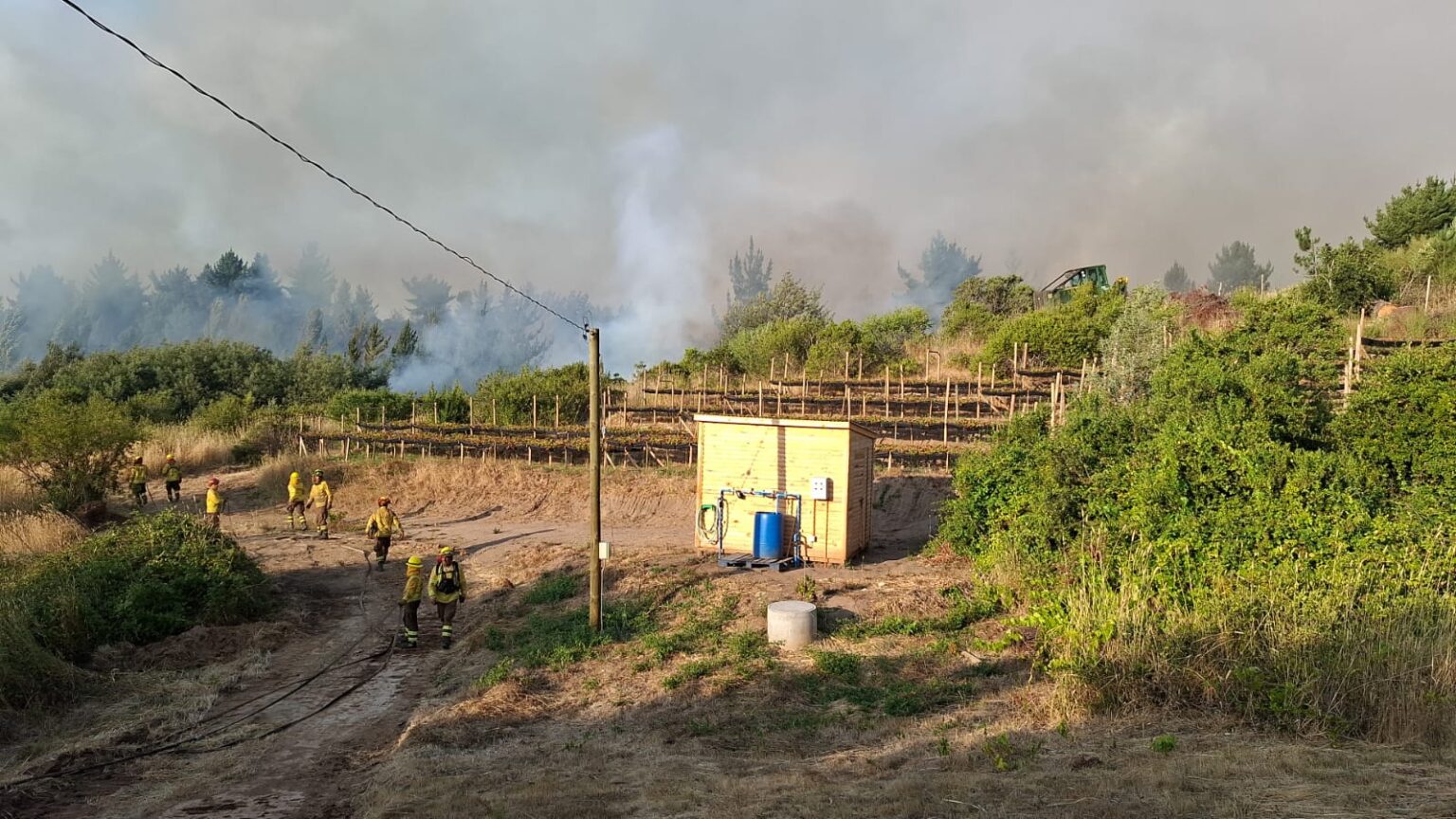 REPORTAJE: La Ley Contra los Incendios