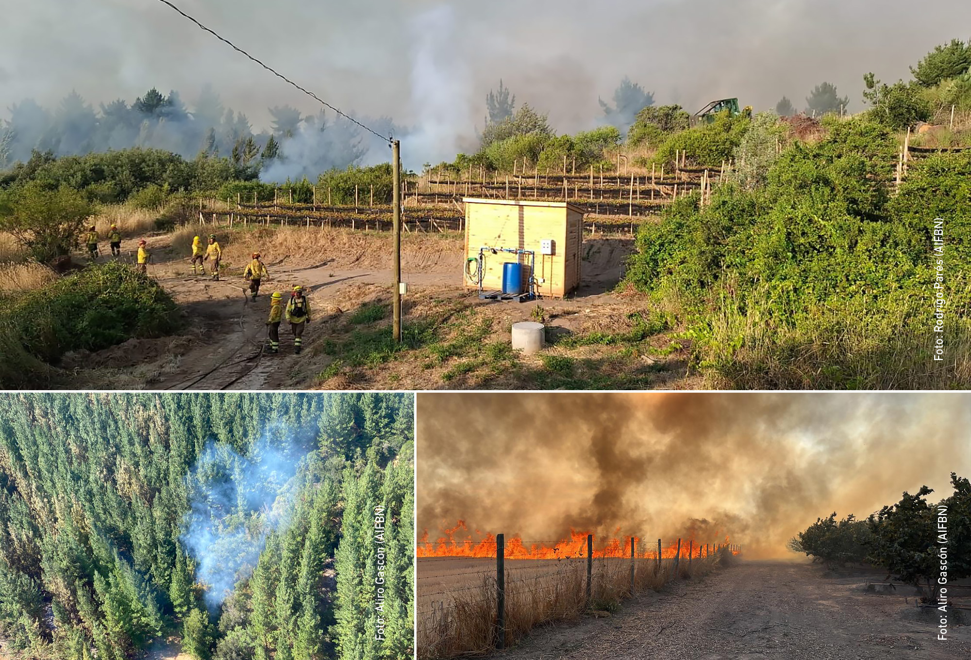 REPORTAJE: La Ley Contra los Incendios