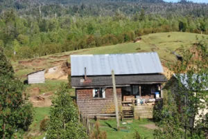 Casa rural frente a una ladera de bosque nativo, imagen de la declaración sobre la Ley de Presupuestos 2027