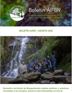 Portada Boletín AIFBN junio–agosto 2026