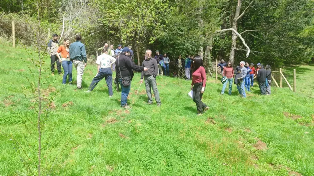Asistentes recorren la plantación del predio Chucaypulli durante el cierre de la temporada 2026